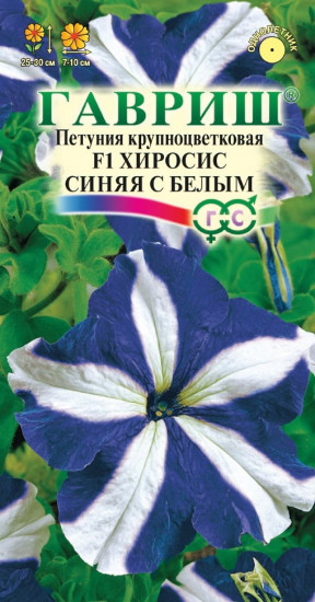 Петуния «Хиросис синяя с белым»