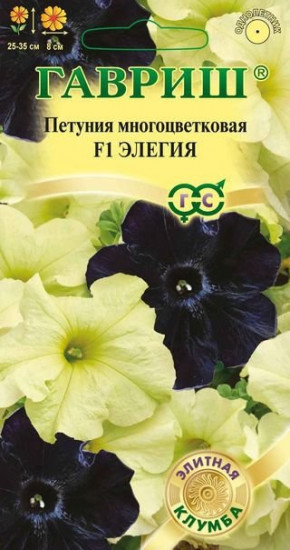 Петуния «Элегия»