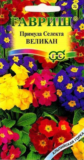 Примула Селекта «Великан»