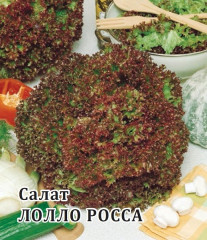 Салат листовой «Лолло Росса»