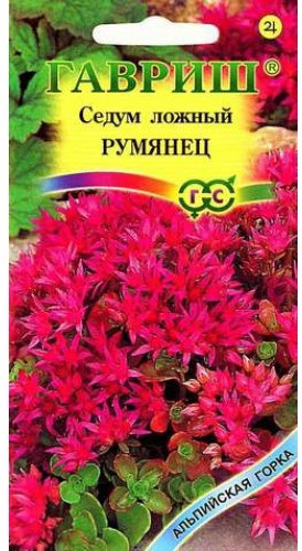 Седум ложный «Румянец»