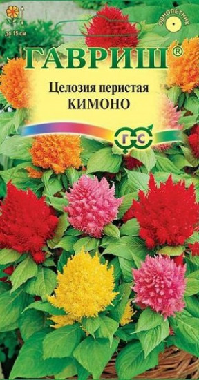Целозия перистая «Кимоно»