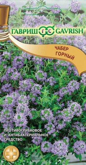Чабер горный