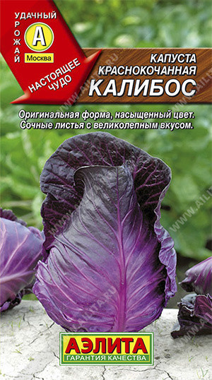 Капуста краснокочанная «Калибос»