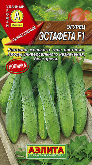 Огурец «Эстафета F1»