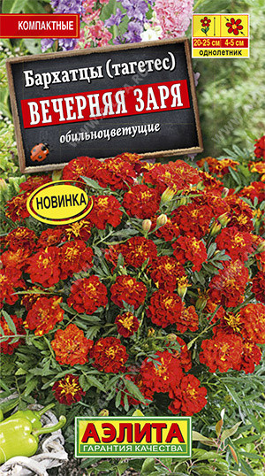 Бархатцы «Вечерняя заря»