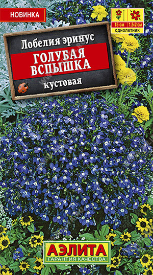 Лобелия «Голубая вспышка»