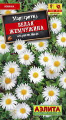Маргаритка «Белая жемчужина»