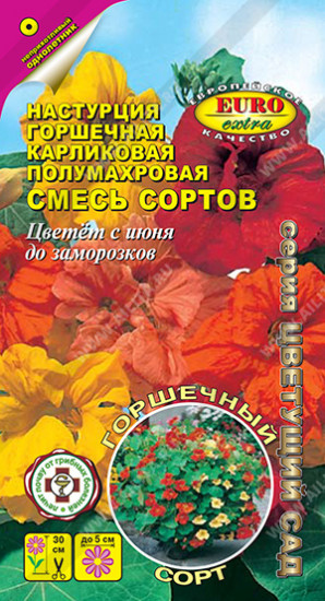 Настурция «Горшечная»