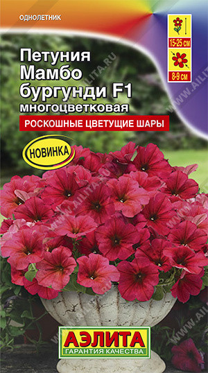 Петуния «Мамбо F1 бургунди»