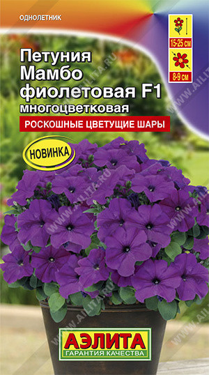 Петуния «Мамбо F1 фиолетовая»
