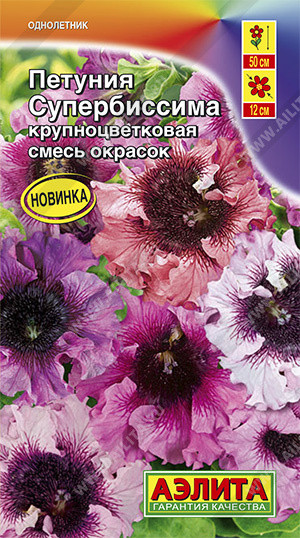Петуния «Супербиссима»