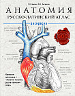 Анатомия: русско-латинский атлас-раскраска