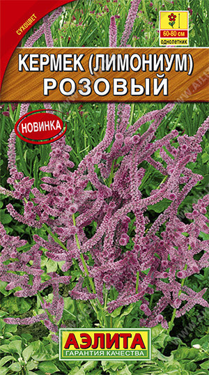 Лимониум розовый