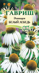 Эхинацея «Белый лебедь»