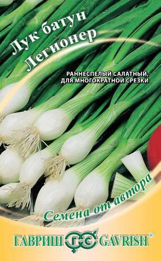Лук батун «Легионер»