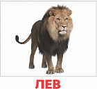 Набор из 20 карточек «Дикие животные»