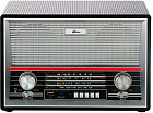 Радиоприемник портативный Ritmix RPR-102
