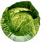 Блюдо сервировочное «Greenery»