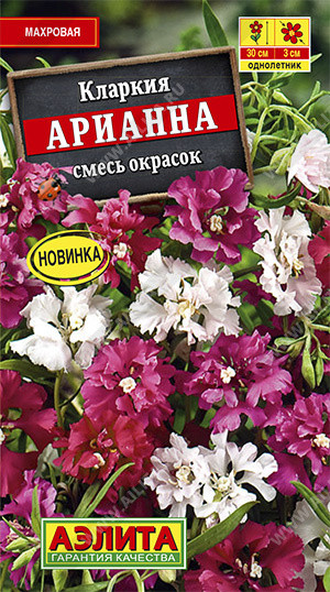 Кларкия «Арианна»