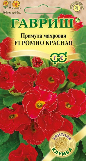 Примула «Ромио красная F1»