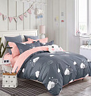 Комплект постельного белья (евро, twill-сатин, 2 наволочки 50×70 и 2 наволочки 70×70)