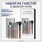 Набор кистей для макияжа «Silver Travel Kit»
