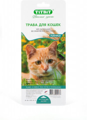 Трава для кошек «Пшеница»
