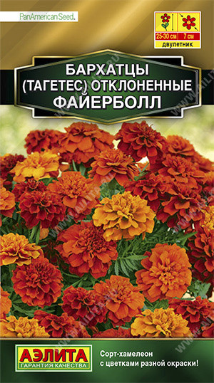 Бархатцы отклоненные «Файерболл»