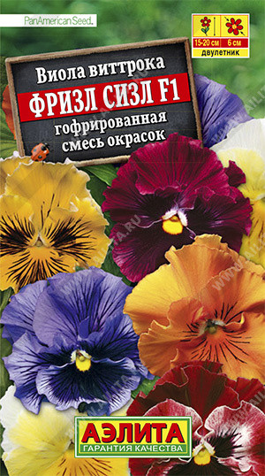 Виола «Фризл Сизл F1»