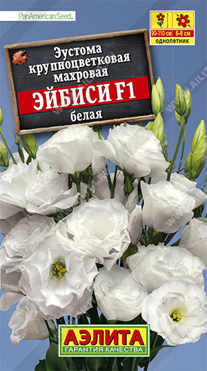 Эустома «Эйбиси F1 белая»