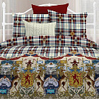 Комплект постельного белья «Триумф» (2-спальный, биокомфорт, 2 наволочки 70×70)