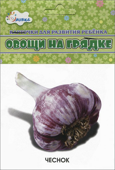 Карточки для развития ребенка «Овощи на грядке»