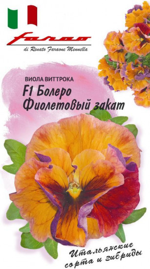 Виола Болеро «Фиолетовый закат F1»