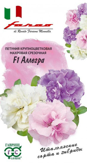 Семена. Петуния «Аллегра F1»