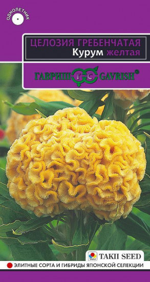 Целозия гребенчатая «Курум желтая»