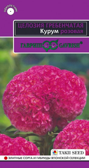 Целозия гребенчатая «Курум розовая»