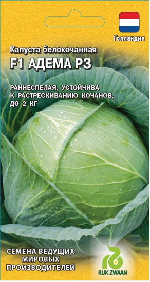 Капуста белокочанная «Адема РЗ F1»