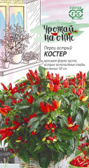 Перец острый «Костер»