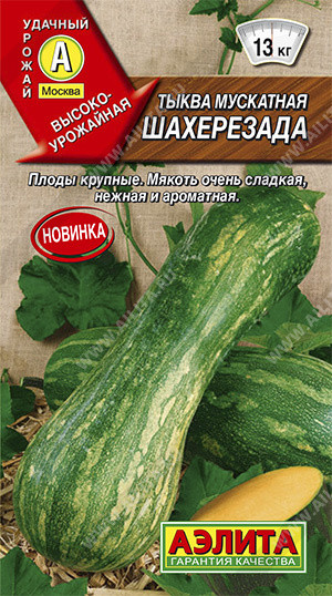 Тыква мускатная «Шахерезада»