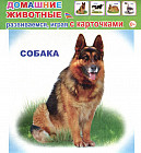 Домашние животные. Обучающие карточки