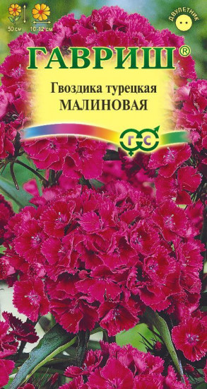 Гвоздика турецкая «Малиновая»