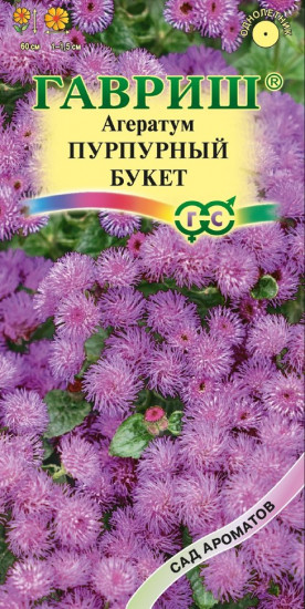 Агератум «Пурпурный букет»