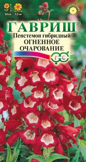 Пенстемон гибридный «Огненное очарование»
