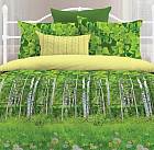 Комплект постельного белья «Родные просторы» (1,5-спальный, БИОкомфорт, 2 наволочки 70×70)