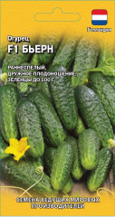 Огурец «Бьерн»