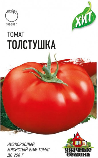 Томат «Толстушка»
