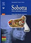 Sobotta. Атлас анатомии человека. В 2-х томах. Том 1: Голова. Шея. Верхняя конечность