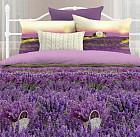 Комплект постельного белья «Прованские луга» (2-спальный, БИОкомфорт, 2 наволочки 70×70)