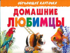 Домашние любимцы